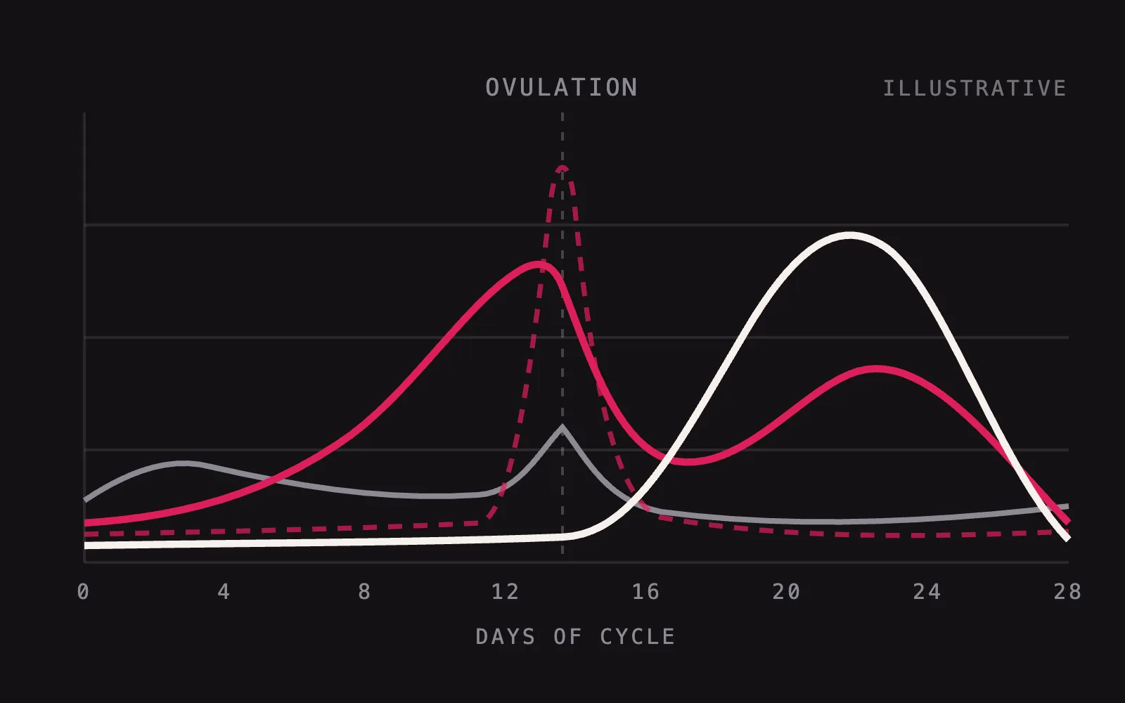 Illustrative chart of hormone levels mapped across the days of the menstrual cycle